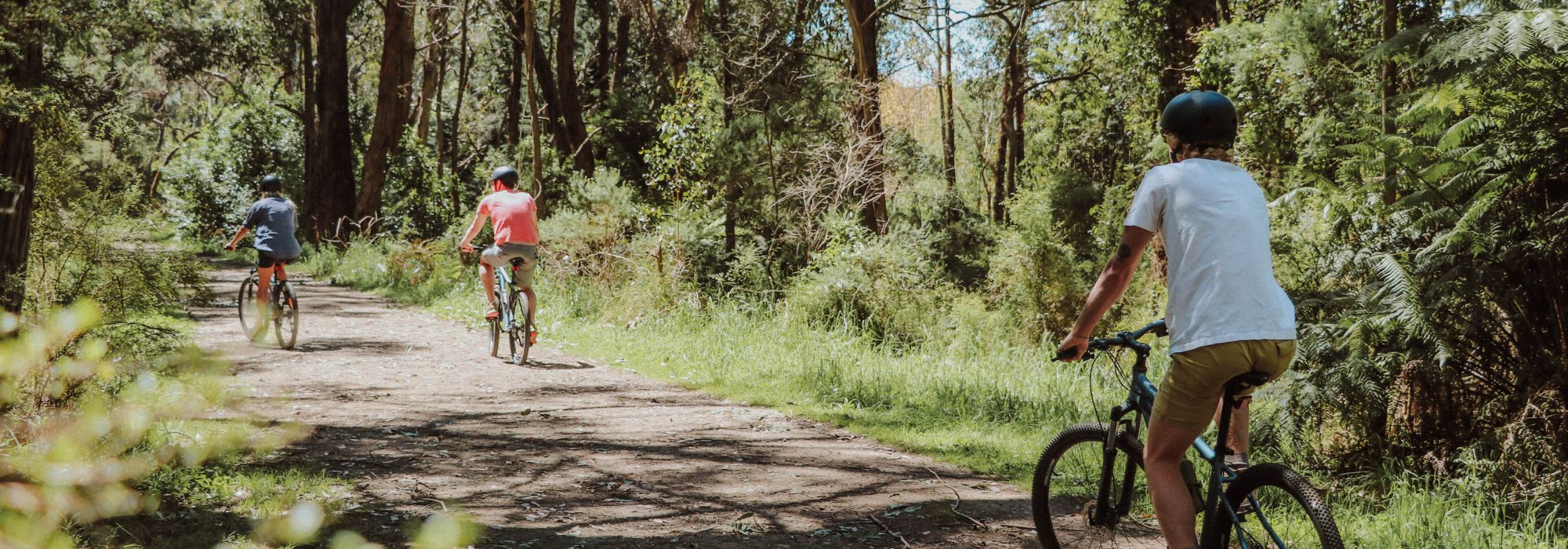 Bike cheap riding tracks